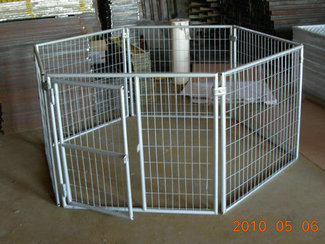 10x10x6ft galvanized dog run