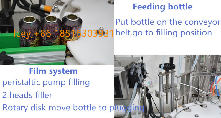 High Capacity Full Automatic Aerosol Spray Paint Filling Machine/Spray Saffron Water Filling Machine