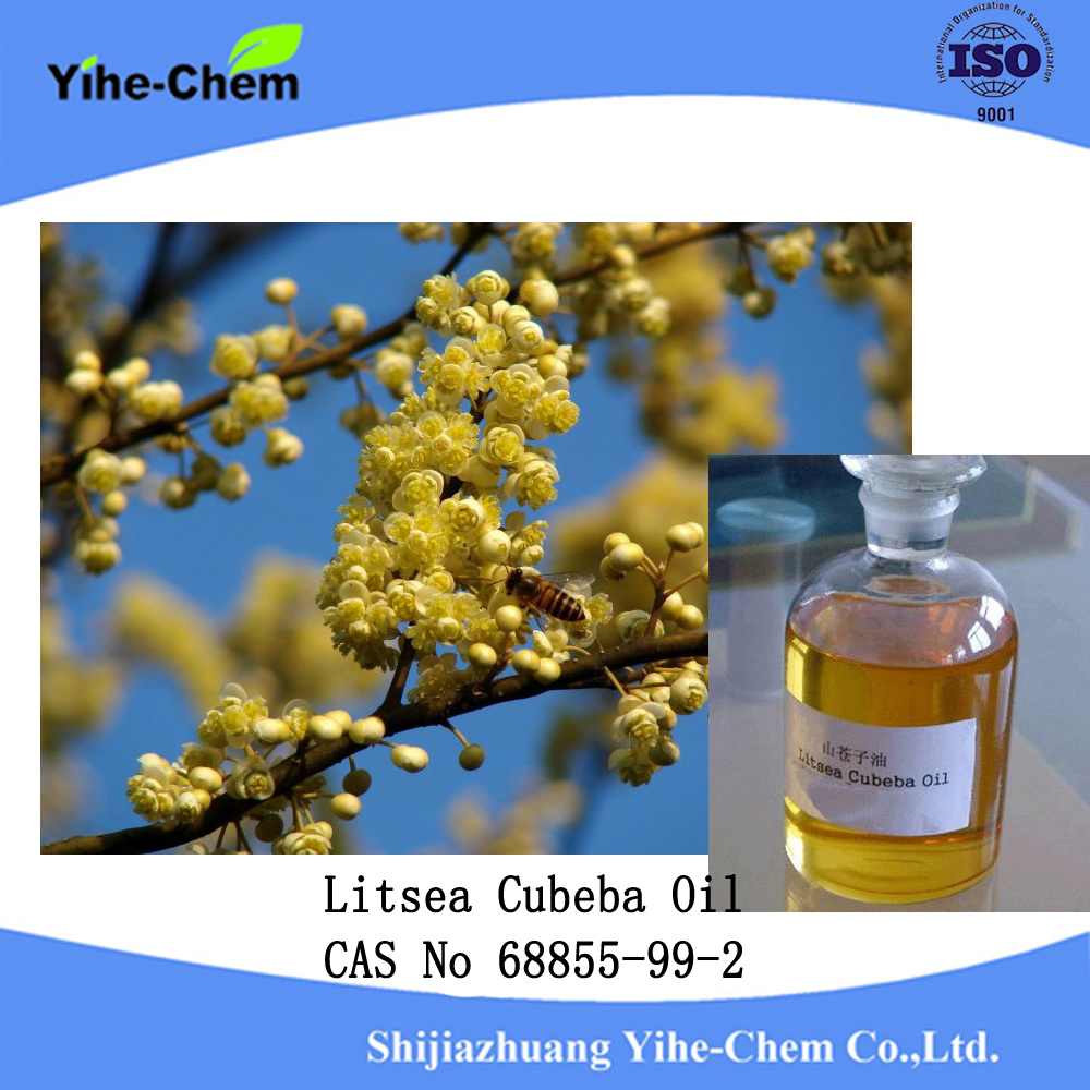 Litsea Cubeba-olie Litsea Cubeba Oil