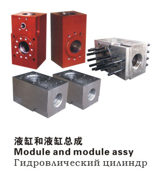 Module and mudule assy