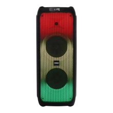 2024 Karaoke Bluetooth Light Flash Speaker with Microphone