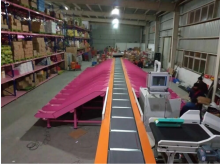 Logistics Sorting Machine Line