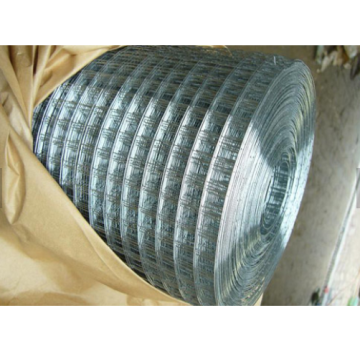 Galvanized Welded Wire Mesh