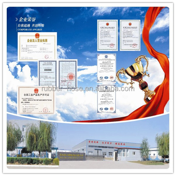 euroflex hydraulic hoses approved maker in hengshui