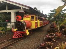 Ancient Steam Electric Rides Train For Tourism Experience