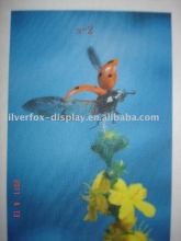 dye sublimation printing for polo shirt farbric