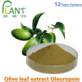 Натуральный растительный экстракт листьев оливкового экстракта олеуропеин 40%