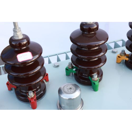 10kV Oil-filled Electric Power Transformer