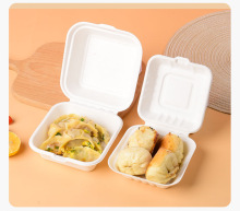 Disposable biodegradable sugarcane bagasse box