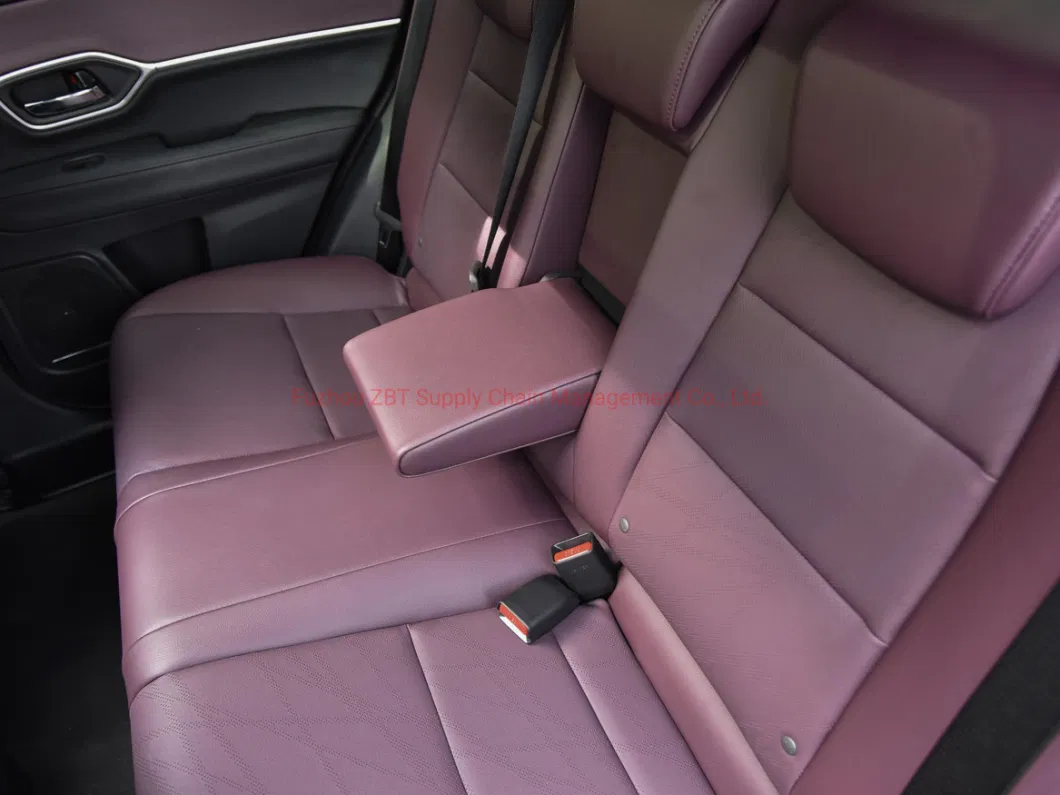Green EV Max Speed 140km/H Private Compact Electric Used Car 4X2 2WD Mnv SUV New Energy Vehicle with Cruise Control System