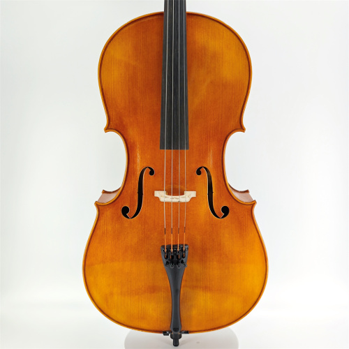 Handmade professional European wood violin