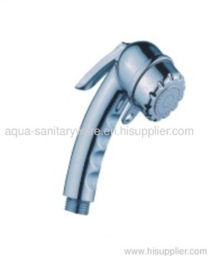 Kitchen Faucet Spray?