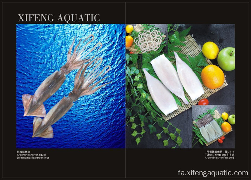 ماهی مرکب ماهی منجمد llex برای فروش به صورت دور