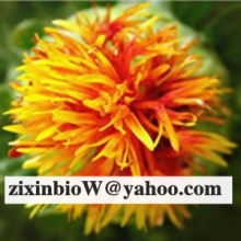 Safflower Yellow