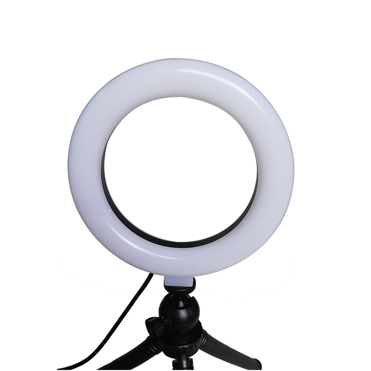 6 INCH RING LIGHT SET