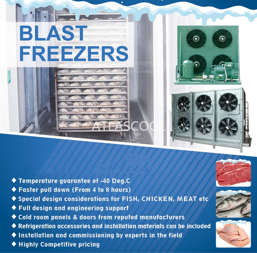 cámara de congelación rápida blast freezer cold room