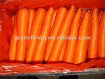 Origin direct Marketing Fresh Carrot