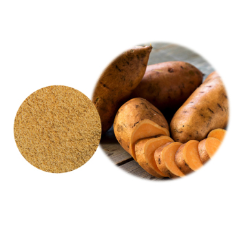 Top quality Organic Chinese sweet potato powder