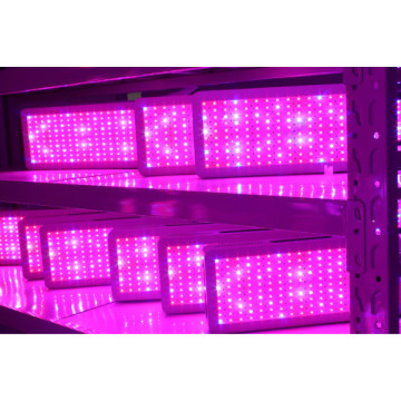 Loji LED Grow Light untuk Hydroponic Growing