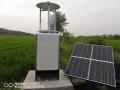 Lámpara de alarma de insectos automático solar