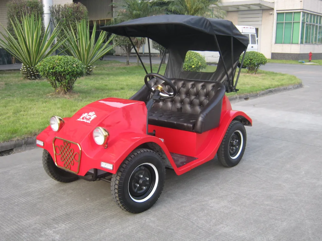 Top Sale 1.8kw 48V Motor-Driven Club Recreational Car