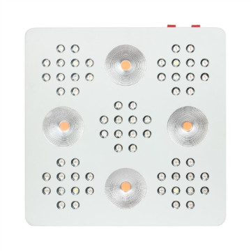 COB -integrierte Chip mit Objektiv LED wachsen Licht