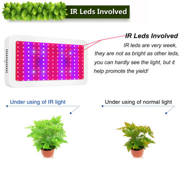 Planta LED de 300W crece liviana para vegetales