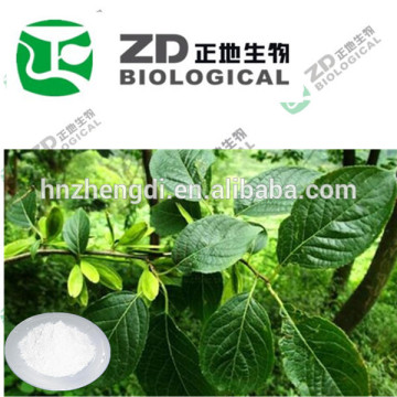 Weight Loss eucommia extract /Gutta Extract Chlorogenic Acids powder