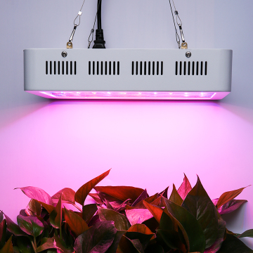 Full Spectrum LED Grow Light for indoor