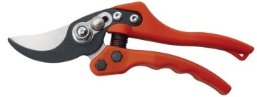 Pruning Shear