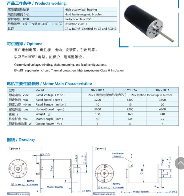 30mm Brush DC Motor Electric DC Motor for Factory Price