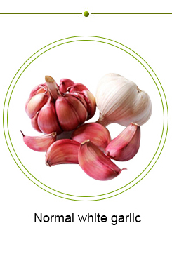 Wholesale vacuum bag peeled garlic