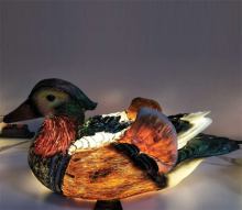 LED Female Mandarin Duck Lights
