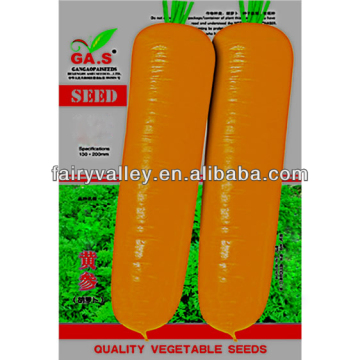 Bulk Hybrid F1 Carrot Seed-Growing Yellow Carrots From Seed-American Yellow Carrot Seeds