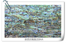 Abalone lip mother of pearl shell mosaic tile(EMBY-192)