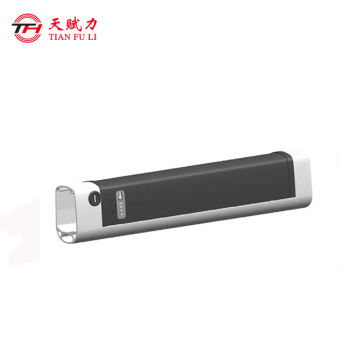 Customized rechargeable 48v lithium battery for e-bike