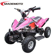 Mini Kawasaki Electric Quads Bike (ATV)