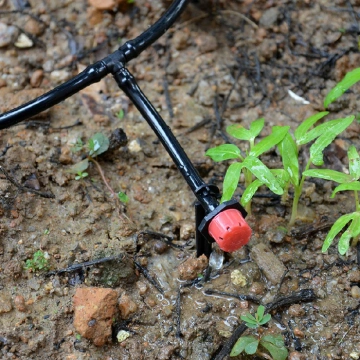 China Landwirtschaftliche Kunststoff Bewasserung Einstellbare Micro Dripper Hersteller