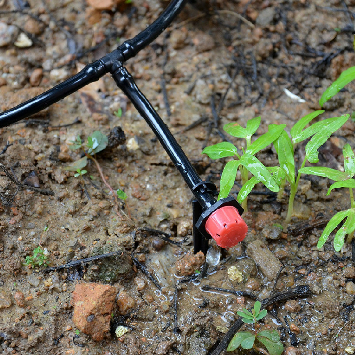 Irrigation Micro Sprinkler for Agricultural