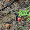 Irrigação Micro Aspersão para Agricultura