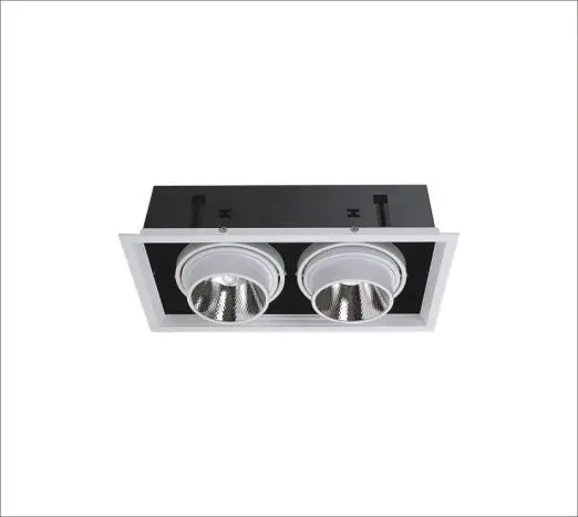 COB 30W*2 LED Downlight for Shop Lighting