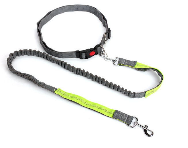 Dog Walking Belt