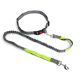 Multicolor Nylon Adjustable Hands Dog Bungee Lead