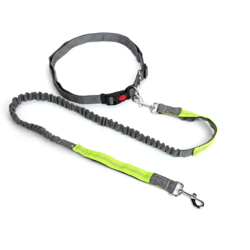 Multicolor Nylon Justerbara händer Free Dog Bungee Leads