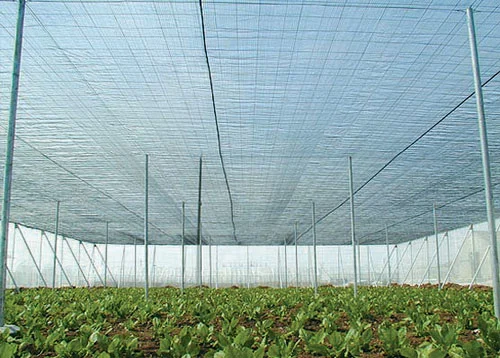 UV Protection Shade Net (AN040S)