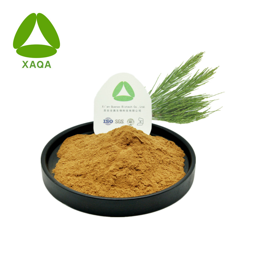 Organic Silicon Powder