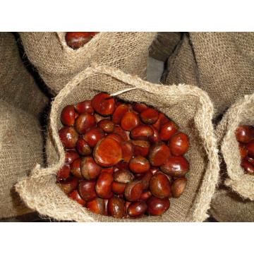 High Quality Nzuri ya kitamu safi Chestnut