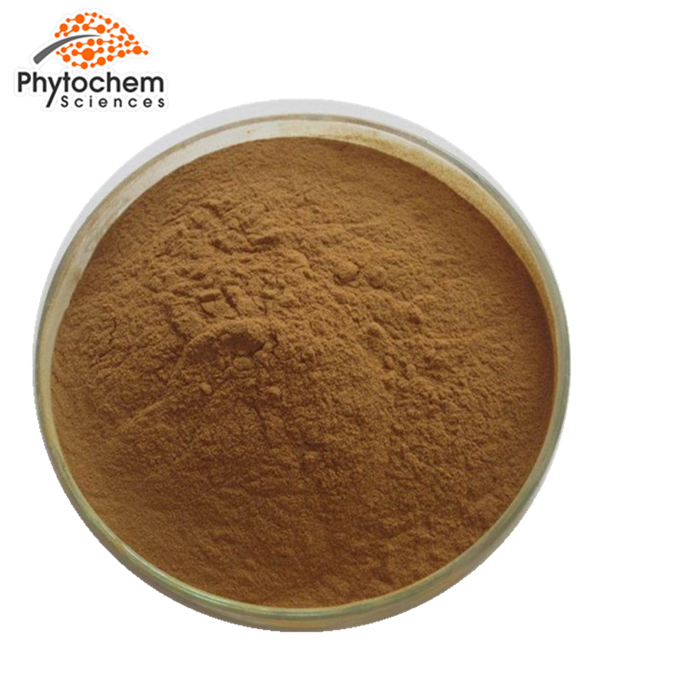 Top quality 100% pure natural rhaponticum carthamoides extract powder