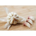 Wholesale pure white fresh garlic