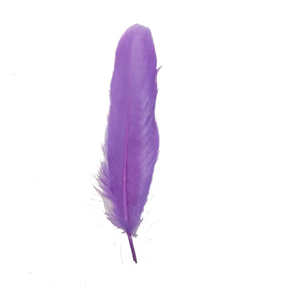 Purple Feather